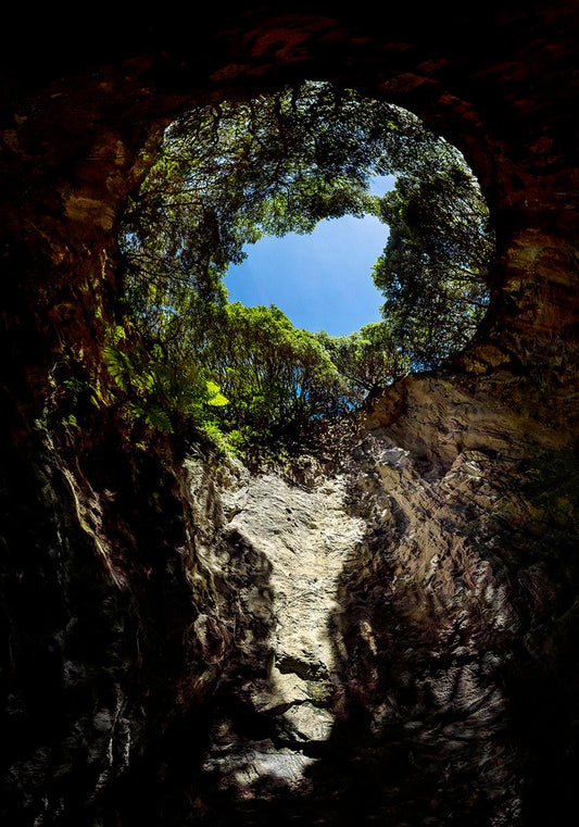 The Origin of Thought