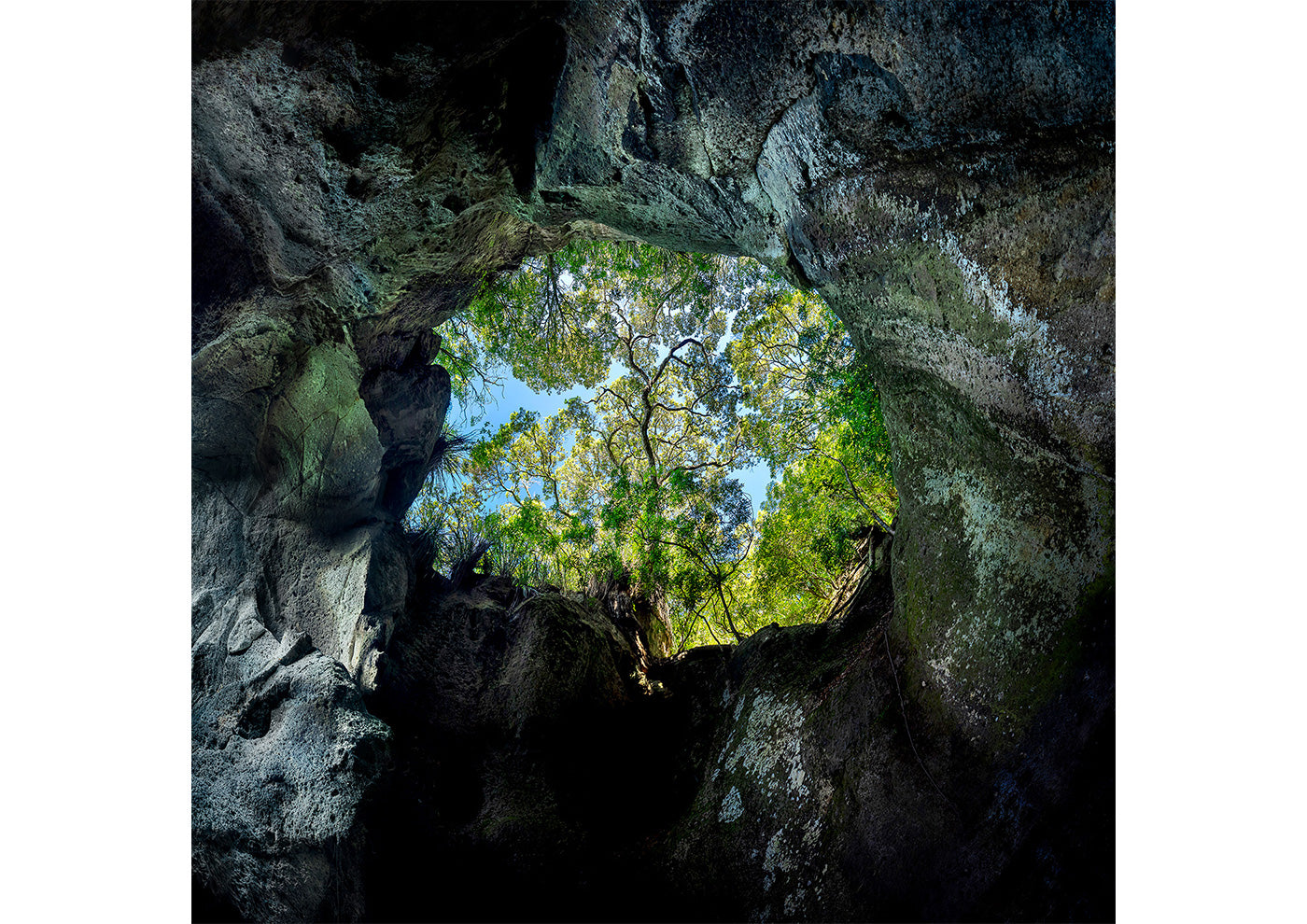 Portal of Life