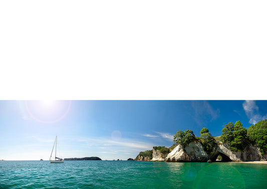 Sailing at the Cove