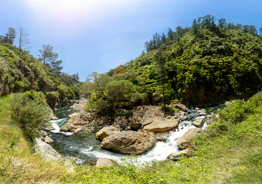 Karangahake George