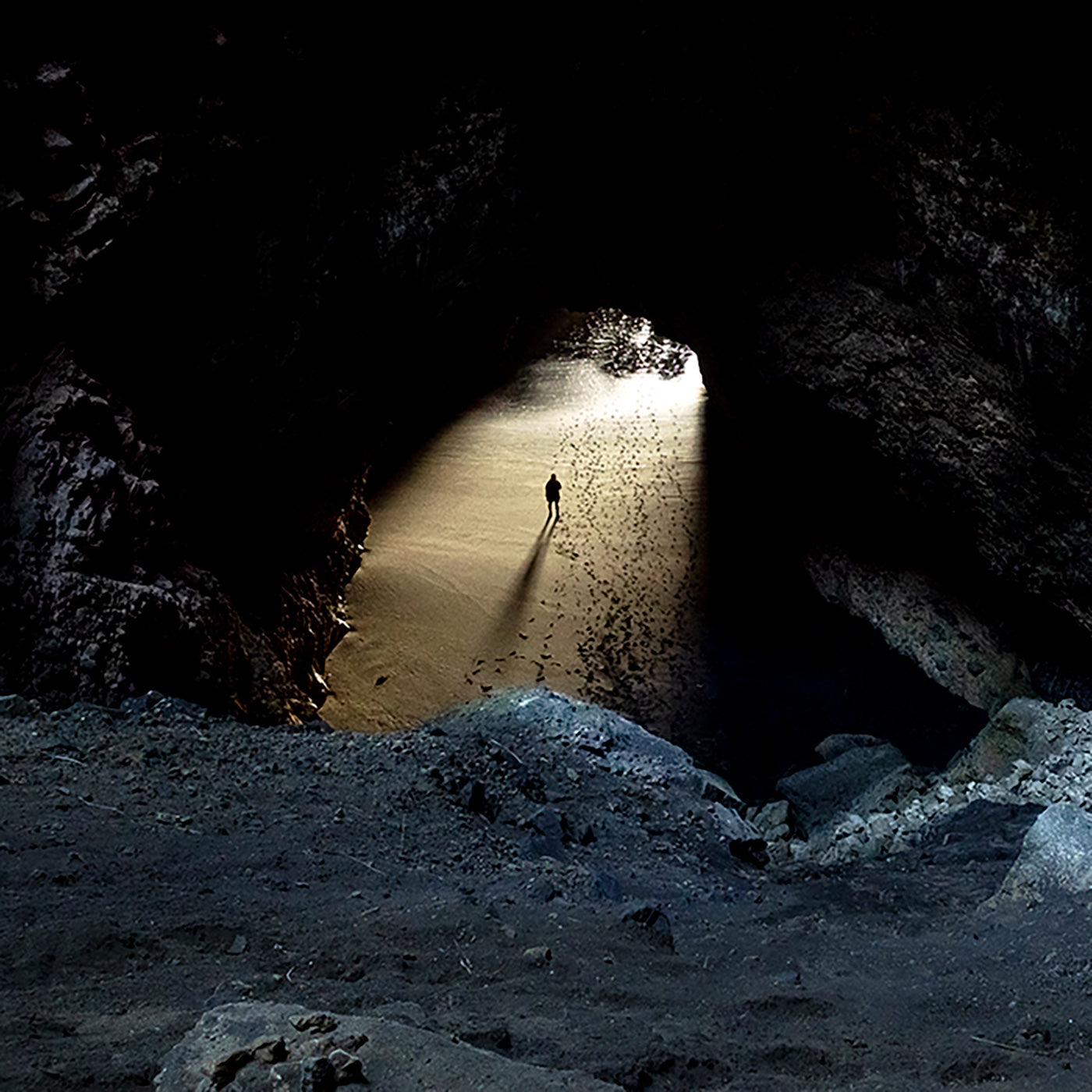 Mercer Bay Cave