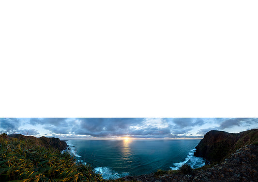 Mercer Bay View