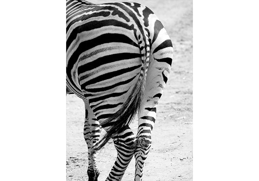 Bold Stripes (No Looking Back)